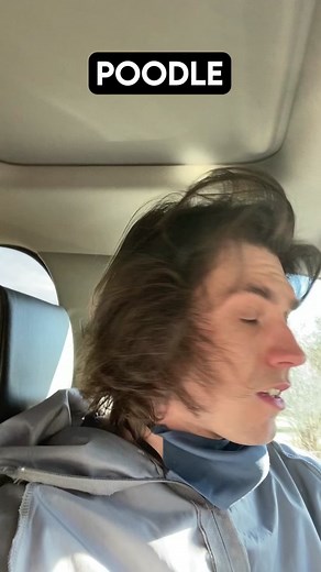 #Ad Keep your dog protected this year with K9 Advantix! K9 Advantix is an amazing flea and tick prevention medicine! Apply it monthly and you will be able to take your dog anywhere without having to worry about them getting fleas or ticks! #FleaAndTick #Dogbreeds #K9advantix #dogbreedsoftiktok #Sponsored