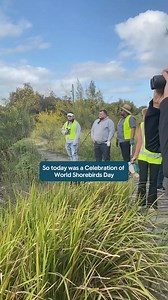 What we were up to during World Shorebirds Day 🕊 We had a blast during our 'Breakfast with the Birds' event on the 10th of September at the Landing Lights Wetlands. The tour of these gorgeous wetlands, often unknown in Sydney, was guided by the incredibly knowledgeable bird expert, Geoff Francis. He really taught us so much about the native birds that reside in these wetlands! A huge thanks to him and to all of the volunteers who joined during this sunny morning in Sydney! 💚 If you want to joi
