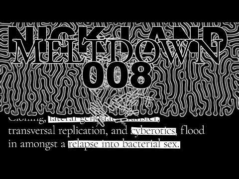Nick Land / Meltdown / Sentence 008 [Explained]