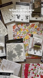 220 reactions · 7 comments | I just did an unboxing video of everything I got from the upcoming Sept-Dec mini catalog. There are so much fun products to choose from! Go to my YouTube channel to watch the whole video. | Stamping on the Back Porch | Facebook