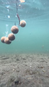 🎣 TRY AN OLD SO-COOL STRINGER 🏅 Who still uses this awesome big fish tactic in their angling? 👀 The humble Stringer Rig creates a subtle and irresistible trap for boilie anglers.🔥 Easily created with our Fade PVA tape, the Stringer provides the perfect formation of boilies - just that right mouthful for cautious carp that have become tired and wary of big beds of bait. 😍 You can use this PVA trick with all your favourite Rigs too, and we all know what a Lock Hook 🔓in the right place can do