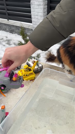 Paw Patrol Save Skye with Exciting Toys