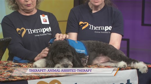 Therapet: Animal Assisted Therapy