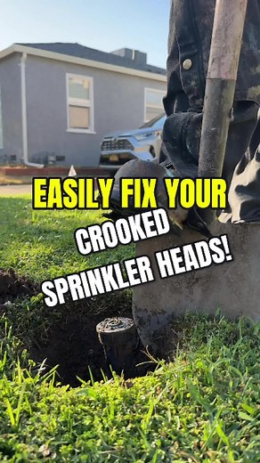 Easily fix crooked sprinkler heads! #fy #foryou #fyp #lawncare #hacksandtips #diy #learnontiktok