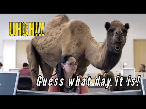 Everything You Need to Get Started Prepping