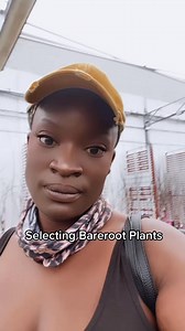 Here’s how to ensure you take home a healthy one! 💪🏿 Before buying, do a scratch test: gently scratch the bark with your fingernail. If you see green underneath, you’ve got a viable tree! 🌱 Check out my video at Walmart for a quick demo! Let’s get planting! #BareRootTrees #GardeningTips #HealthyPlants | Gardening Under Influence LLC