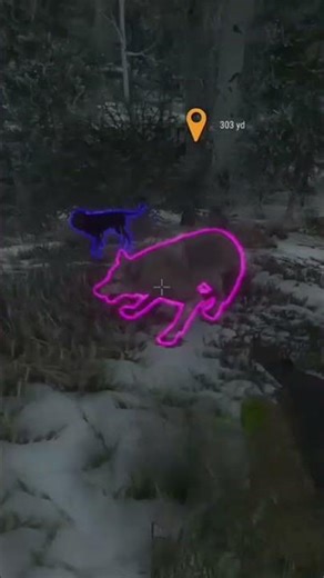 Awesome Grey Wolves!!! #viralvideo #hunting #shorts