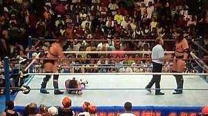 18K views · 693 reactions | Summer Slam Title Changes: Demolition vs The Hart Foundation for the Tag Team Championship 1990! | All Things Wrestling | Facebook