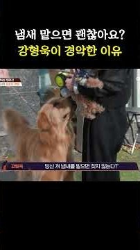 08/13/26 Dogs and Wolves Time 6 Yoon Ji-yeon