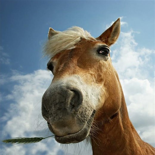 Des p'tites bibittes d'humidité