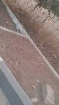 Keystone School of Engineering, Pune, BLOGGING