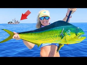 The TRUTH Behind Florida's Dying Mahi Mahi Population! Florida Offshore Catch & Cook
