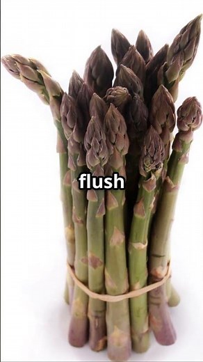 10 BEST Foods for and BLOATING Water Retention Relief