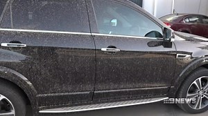 24K views · 127 reactions | Mildura has spent the day cleaning up...