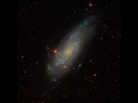 Caldwell 36: the Koi Fish Galaxy