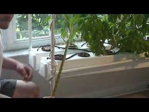 Build a Aeroponic Fogger for your hydroponic system