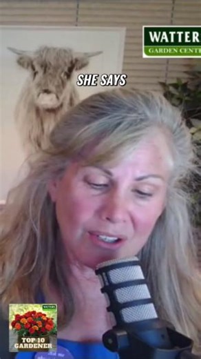 Solving the Sticky Situation How to Treat Aphids on Roses and Fruit...