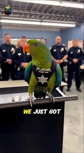 Parrot and Cops: Unbelievable Roasting of Cops