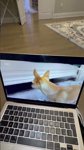 HE'S HIDING IN THE SECRET GAMING ROOM 😂