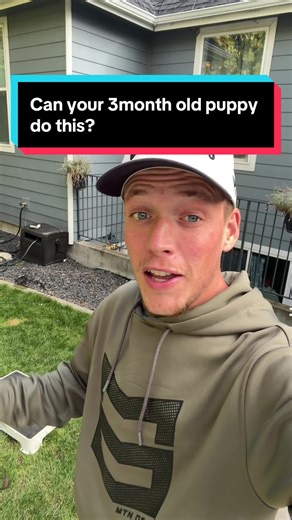 That’s the power of consistent reps and the BestGunDogs Virtual Training Course 🐶💪 It’s step-by-step, easy to follow, and it flat-out works. Grab yours today and start seeing real results! #DogTraining #BestGunDogs #SmartDogs #TrainingThatWorks #GSPLife