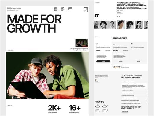 Portfolio & Agency Website Design