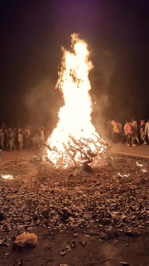 HOLIKA DAHAN STATUS 💫 HOLIKA DAHAN STATUS 2026#trending #holikadahan #shorts