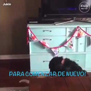 Yo quisiera ser civilizado como los animales (Roberto Carlos)