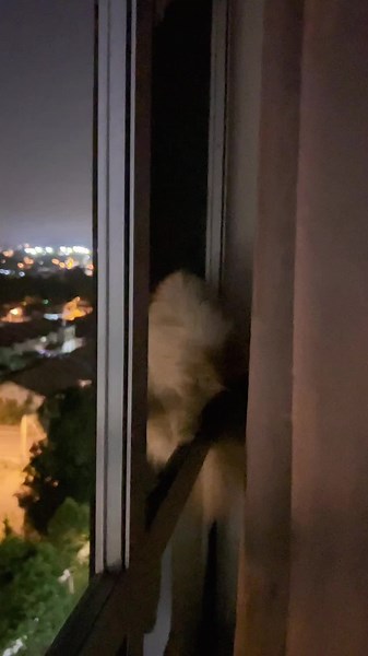 #Leona.. Ank dara tu dh lma x healing tp tgkap sjak sakit mata😅