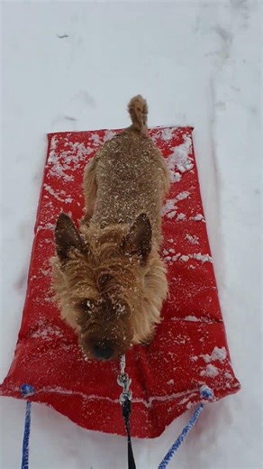 Talven ihmemaa Helsingin Jakomäessä. ❄️ A winter wonderland in Jakomäki, Helsinki. ❄️ #winterspesial
