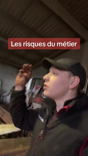 Les risques du métier de fendeur de bois