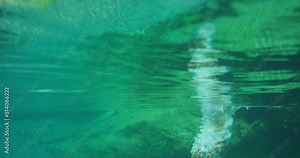 A young woman having fun jumping into a lake wearing a white bikini. A carefree woman on holiday in nature jumping into a lake to swim. A young woman on holiday swimming in a white bikini