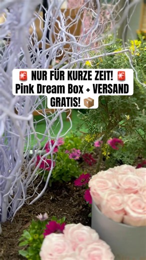 Das perfekte Geschenk: Pink Infinity Roses 🎀 VERSAND GRATIS!) #shortsdeutschland