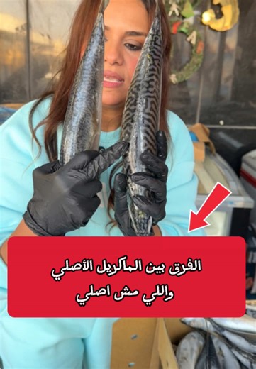 الفرق بين السمك الماكريل الأصلي والمضروب