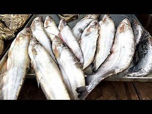 Discover Fresh, Local Fish at Our Wholesale Market! Carp, Catfish, River Fish & More!