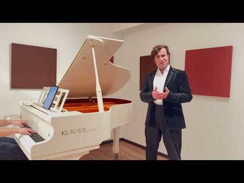 Dein ist mein ganzes Herz, Franz Lehár￼