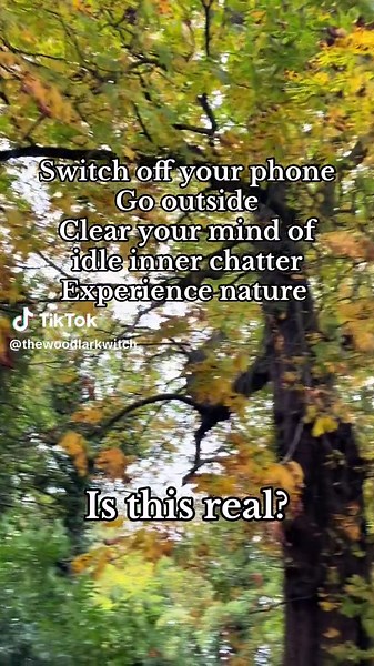 Switch off your phone. Go outside. Clear your mind of idle inner chatter. Experience nature. Is this real? #nature #reality #witchtok #forestwitch #simulation #autumn #fall #healing #thewoodlarkwitch #woodlarkwitch #natureheals #healingearth #tao #hedgewitch