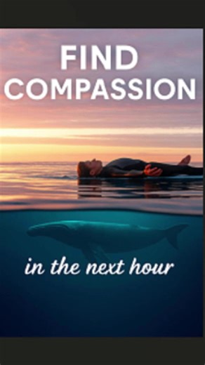 #CapCut I made this amazing video with CapCut. Open the link to try it out: capcut.com/tools/desktop-video-editor