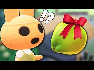 When You Give COCO a COCONUT in Animal Crossing