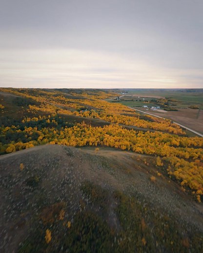 🍂Fall has arrived, a week early.🍁 Saskatchewan's beauty is on full display during the autumn months, making it an ideal time to explore the province! SaskParks recently dropped their 2025 Fall Camping Guide, so there's still time to book a fall getaway in one of the province's stunning provincial parks!⛺: https://saskparks.tourismsaskatchewan.com/guides/fall-camping Check our Events page to find out what's going on across the province this fall season, from artisanal markets to live music, and