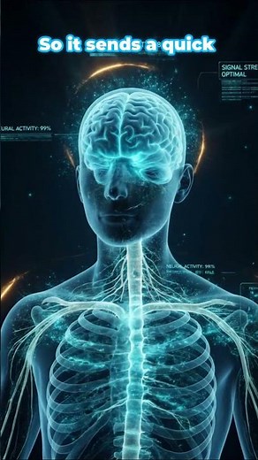 Why Your Body Jerks Awake When Falling Asleep 😱 The Sleep Jolt Explained