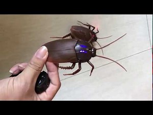 Remote Control Toy Smart Cockroach Spider Ant Prank Jokes Insect from Aliexpress