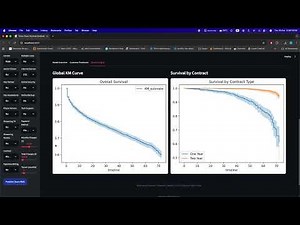 Customer Churn Survival Analysis - Streamlit Dashboard Demo