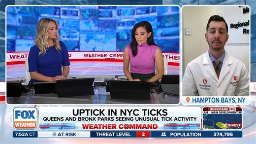 TICK UPTICK: Health officials in New York are warning of an unprecedented tick season. Dr. Andrew Handel of Stony Brook Children's Hospital joined FOX Weather with some tips on how to deal with and prevent tick bites this summer. Full Interview: https://www.foxweather.com/watch/fmc-9ssiudmqi27jz0cl | FOX Weather