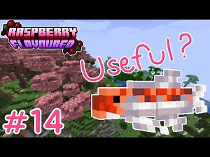This prevents mobs from spawning? | Raspberry Flavoured SMP #14
