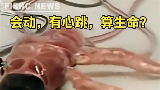 AI＋仿生模块＝=人造生命❓战锤40k现实版❗️