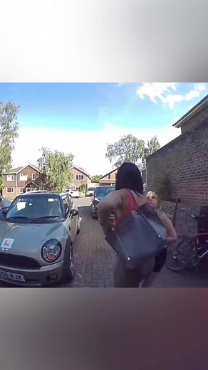 The dog on the monitor 🤣🤣🤣#dog #dogs #dogsoftiktok #funnydog #funnyvideo #doglover #funnytiktok #funny #happy