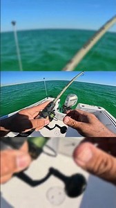 Instant Ladyfish Hookset — Catch & Release Style