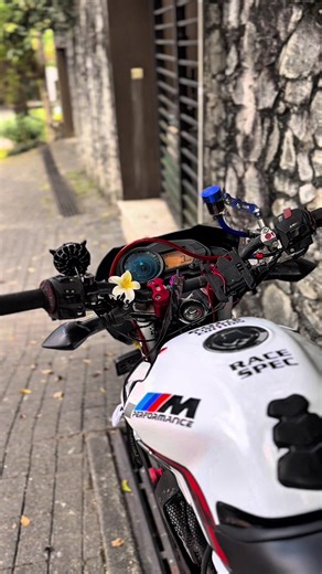 අරලිය මල් 😍🤍#pulsar135modified #lsmodified #foryou #foryoupage #viralvideo