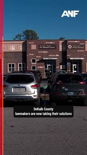 Beginning on the first of the year, DeKalb County pet owners will be required to register new litters of dogs, cats and rabbits with the county. The move is intended to quell the county’s overcrowded animal shelter and reduce overpopulation that has plagued the area for years. 🐾 Non-licensed pet owners will have three weeks to report their new litters to the county and limits non-licensed individuals to one litter in a 12-month span. The DeKalb County Animal Shelter in Chamblee has faced an ove