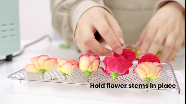 Flower Drying Kit, Flower Drying Machine Quick Efficient Dryer for Dried Flowers DIY Projects as Flowers Decoration, Resin Crafts, Candle Making, Soap Making, Ideal Gifts for Flower Art Lovers